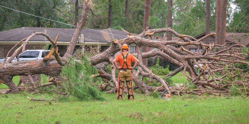 Supporting Hurricane Victims: A Community Effort