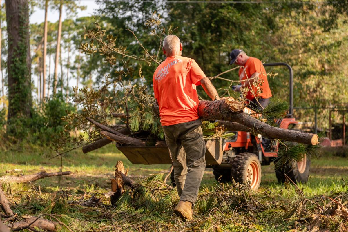 _placeholder.jpg (41 KB)